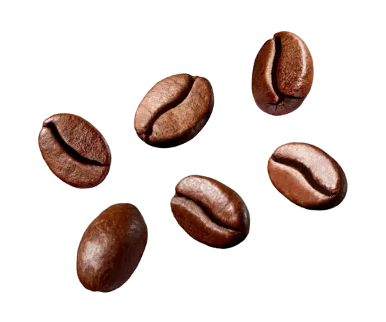 Coffee beans