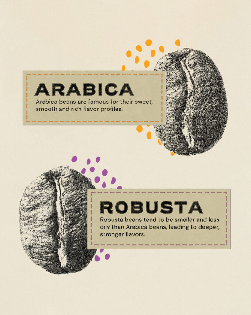 Arabica vs. Robusta beans