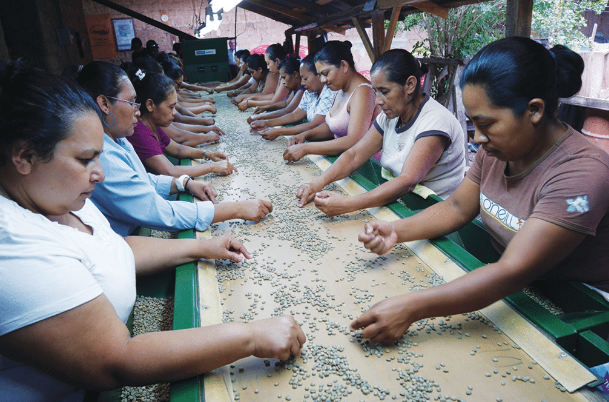 women sorting coffee beans