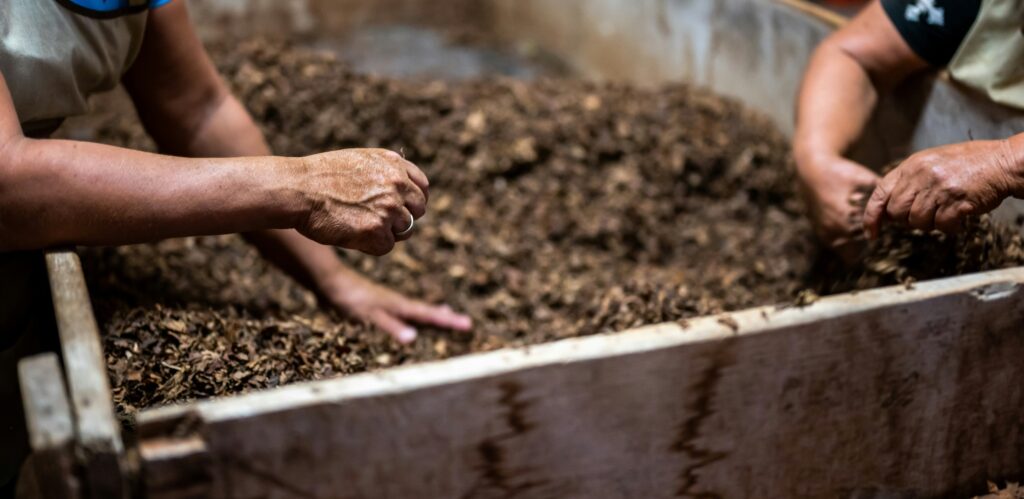 hands working in compost