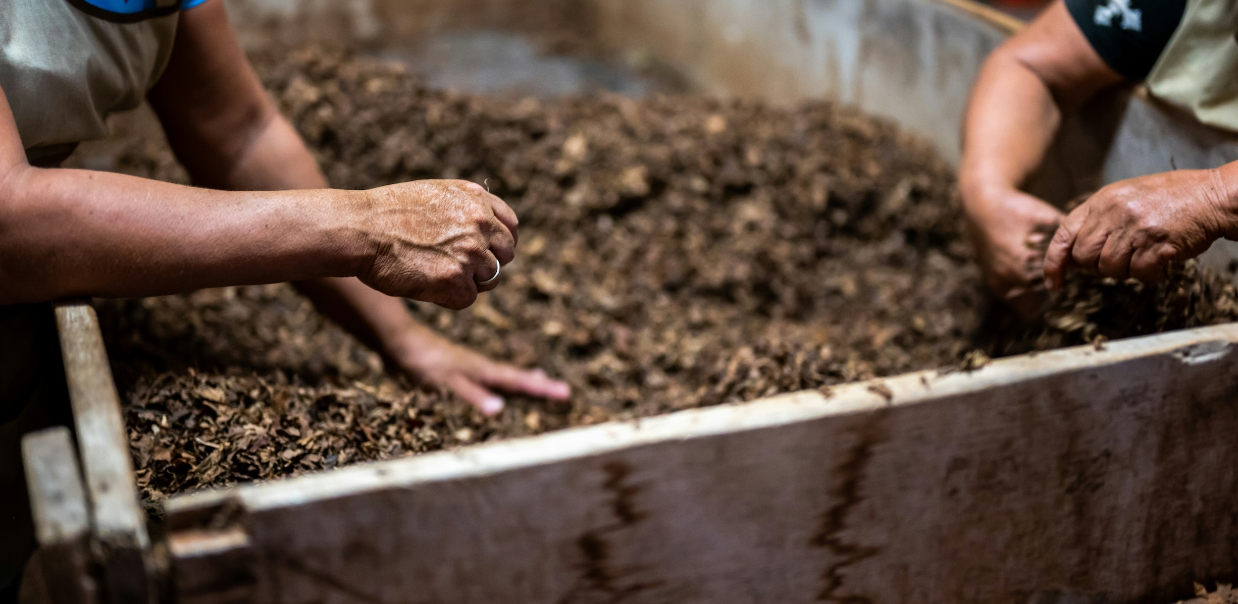 hands working in compost
